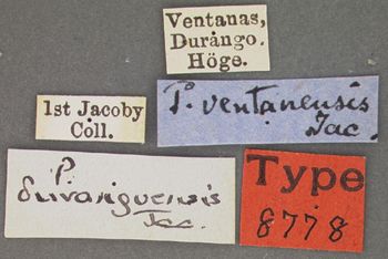Media type: image; Entomology 8778   Aspect: labels